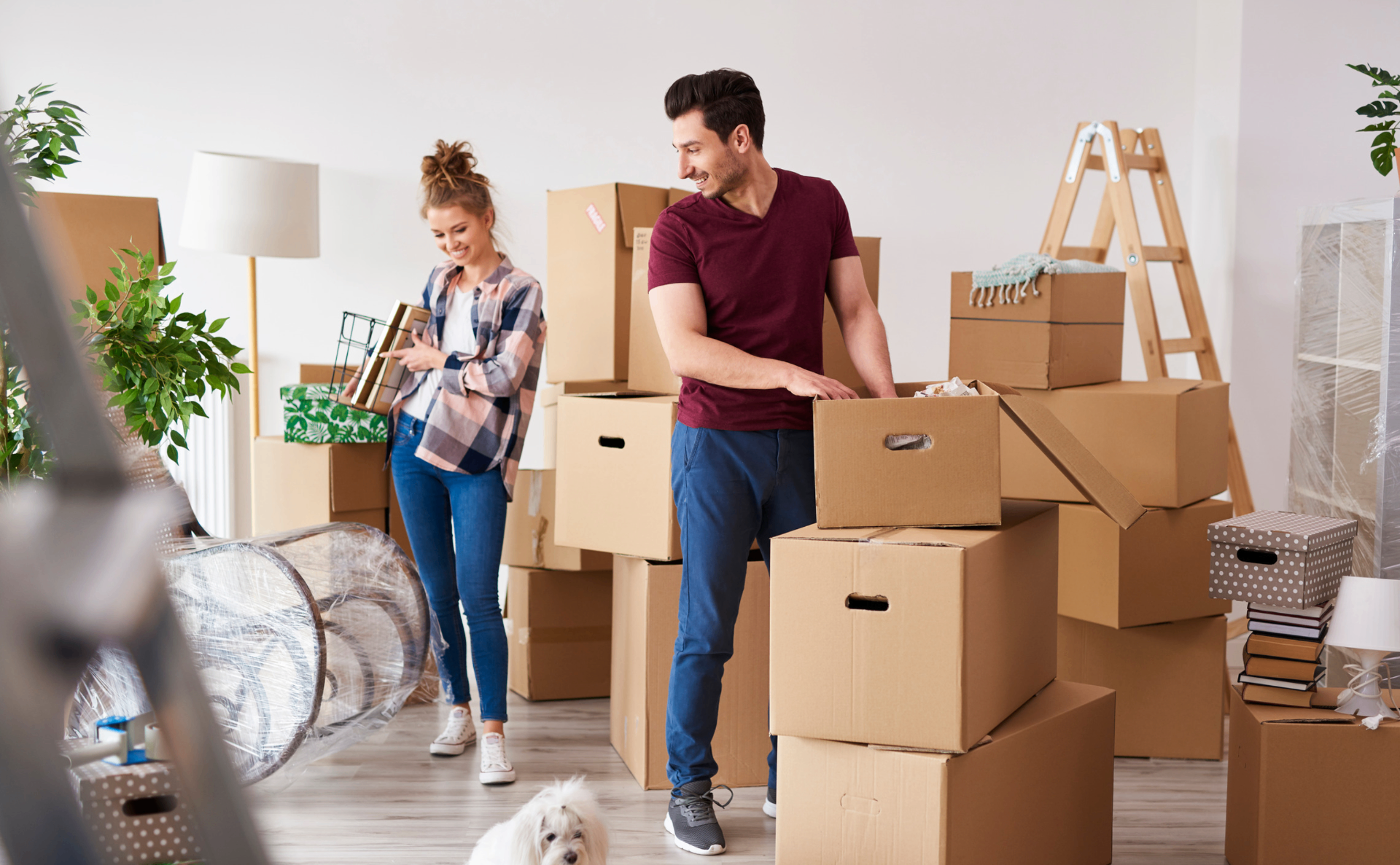 New Movers